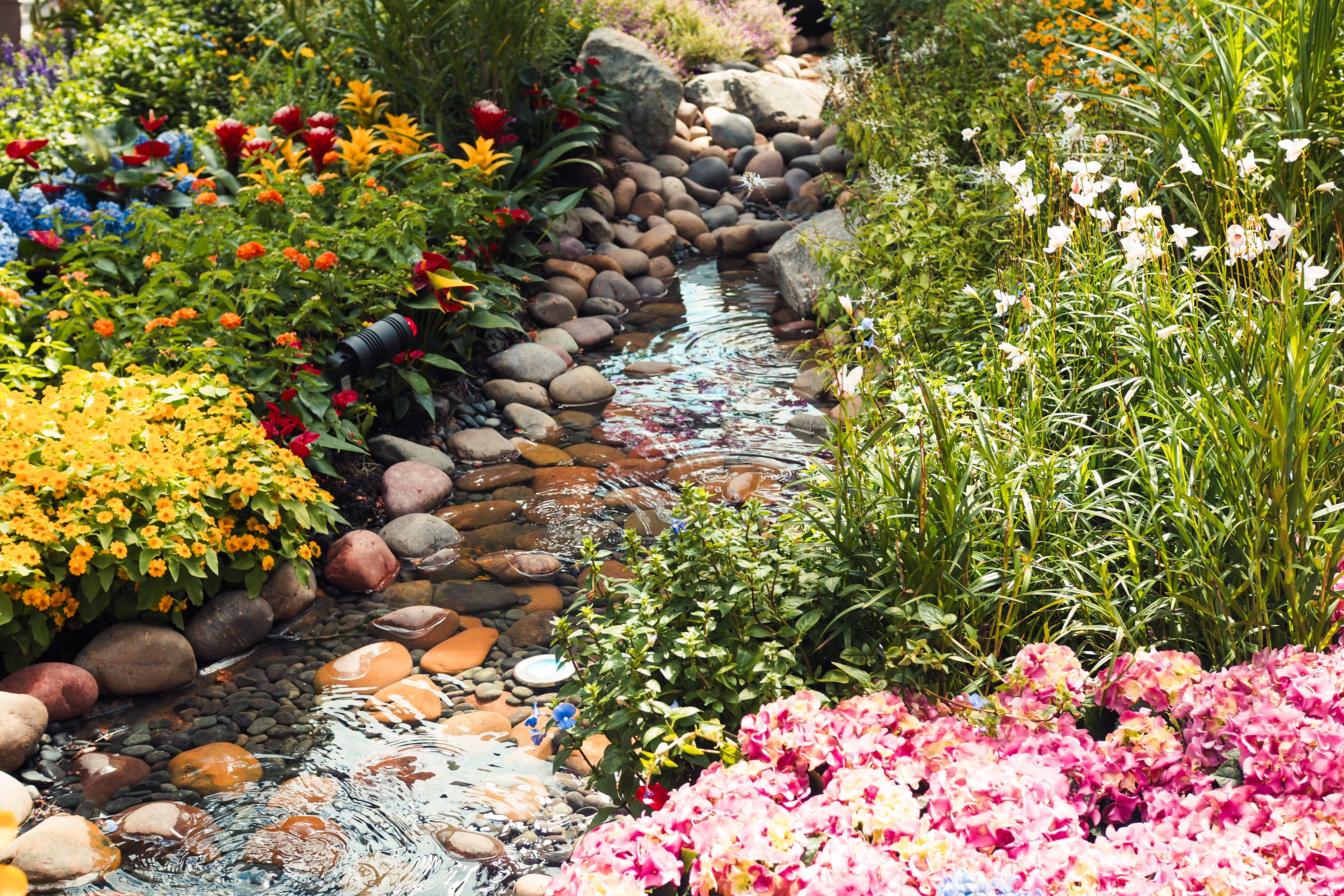 Crowne Plaza Changi Airport By Ihg Сінгапур Екстер'єр фото The photo depicts a serene garden scene featuring a small, gently flowing stream meandering through an array of colorful flowers and plants. On either side of the stream, vibrant blooms can be seen, including clusters of yellow and pink flowers, alon