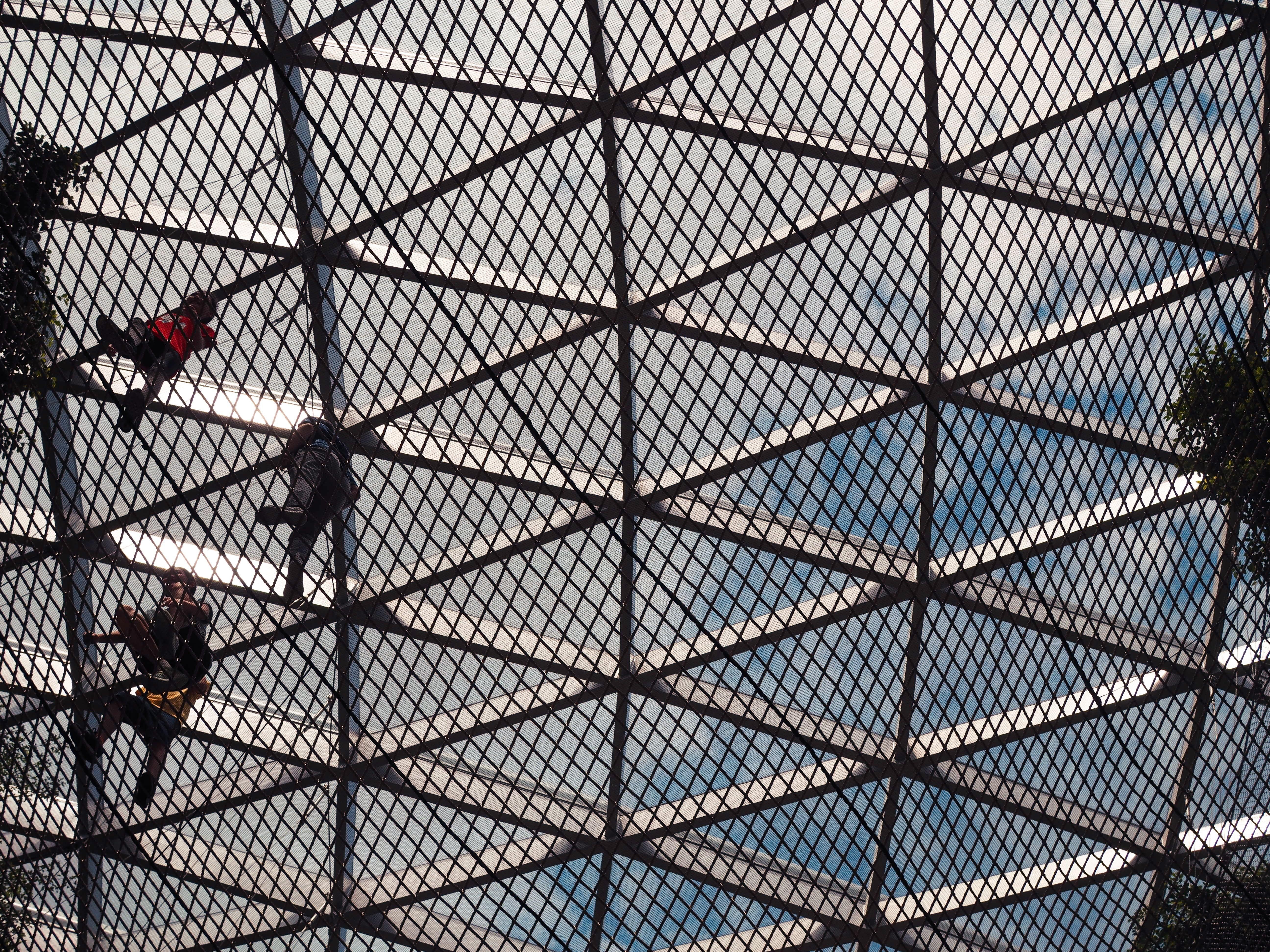 Crowne Plaza Changi Airport By Ihg Сінгапур Екстер'єр фото The photo shows a view of a grid-like structure from below, likely a climbing or netting installation. There are a few individuals visible, appearing to be climbing or navigating the net. The sky can be seen above through the gaps in the grid, which 
