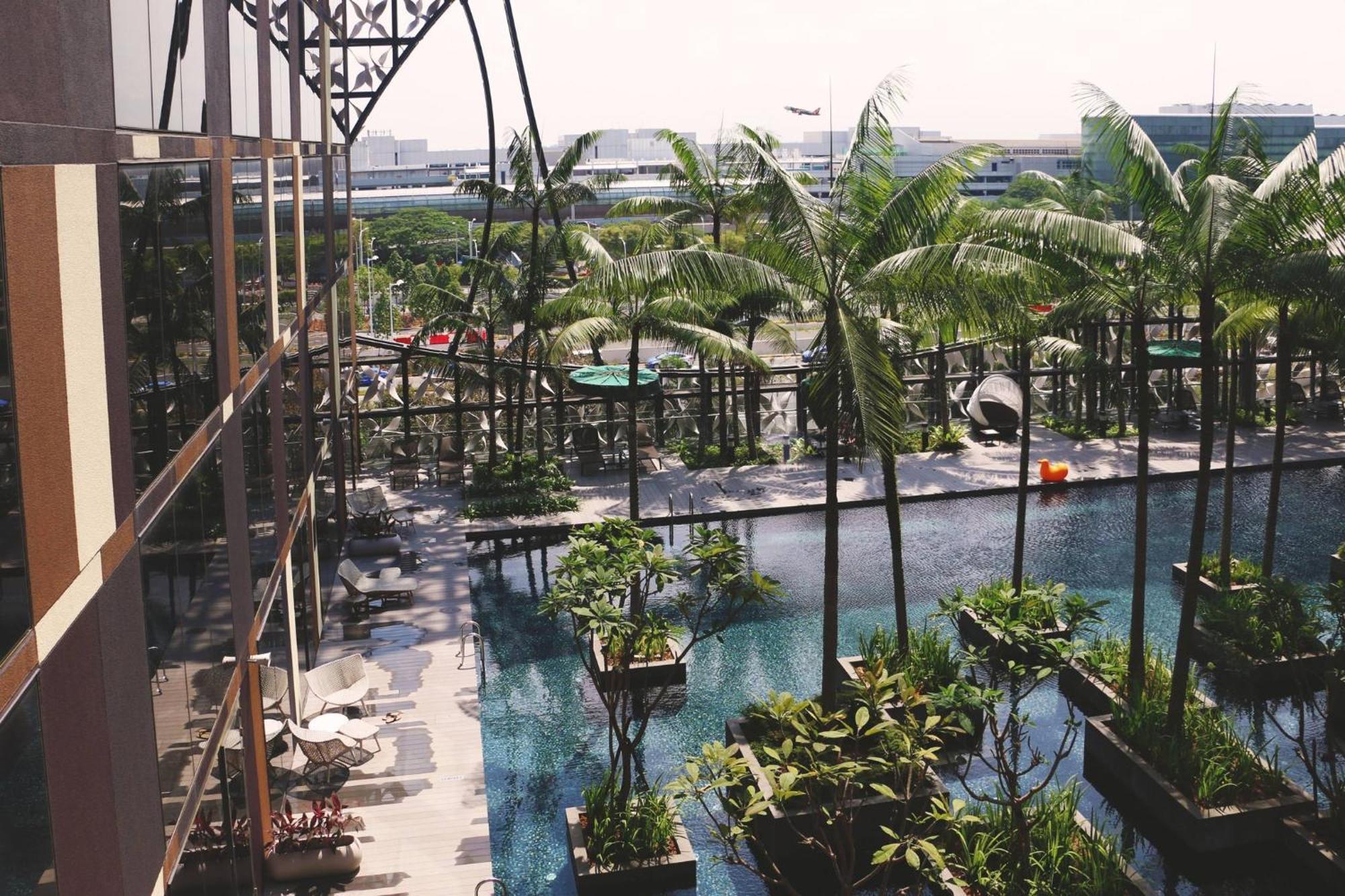 Crowne Plaza Changi Airport By Ihg Сінгапур Екстер'єр фото The photo depicts a scenic view from a balcony or terrace, showcasing a luxurious swimming pool surrounded by greenery. There are several palm trees and potted plants, contributing to a tropical atmosphere. The pool area also includes lounge chairs, 